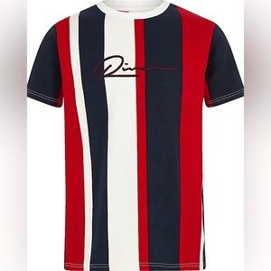 River Island Boys Multicolor Vertical Stripe Short Sleeve T-Shirt